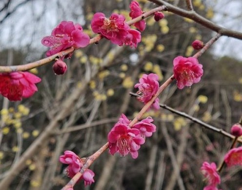 ��ȭ<br> ��ȣ�����ȭ