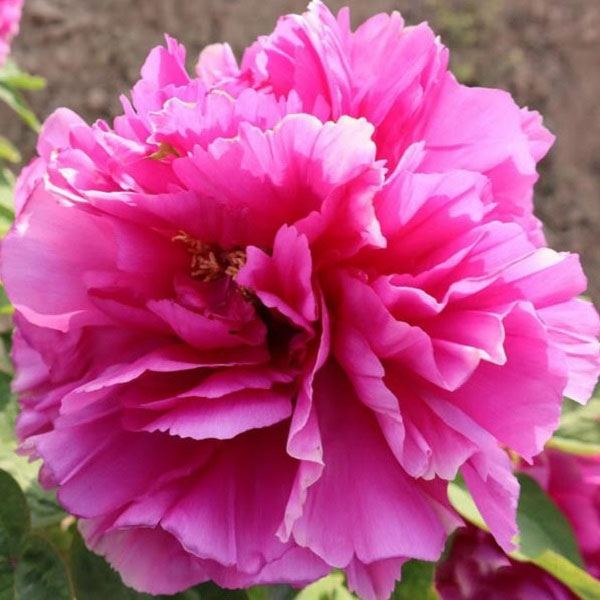 ��� �����ݴ�8