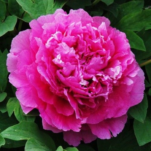 ��� Ư-2.����ȫ