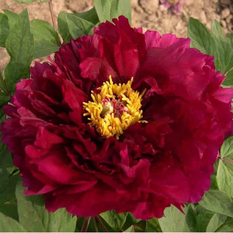 ��� Ư-4.��������