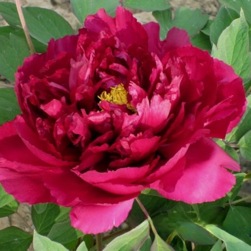 ��� ��ݿ���9