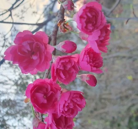 �㺢����<br>�Ѻ��